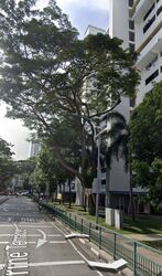 Marine Terrace (Marine Parade),  #415732961